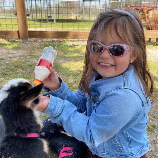 Little Girl Feeding A Baby Goat With A Bottle